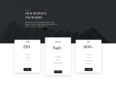 business-consultant-pricing-page-116x87.jpg